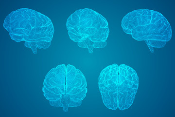 生活化学科普知识