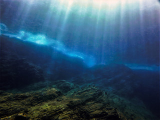 初一下册期中语文知识点总结