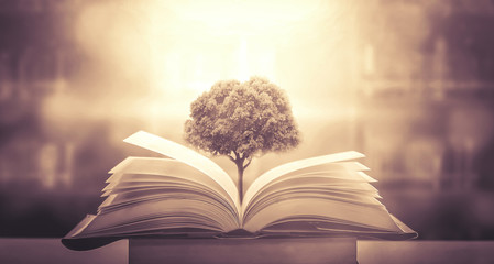 景观灯有哪些作用