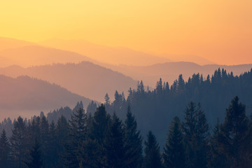 弟子规的推荐语