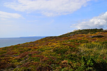 幼儿对事物认识模糊的措施