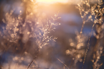 三年级上册英语第五单元怎么读