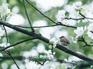 生活化学科普知识