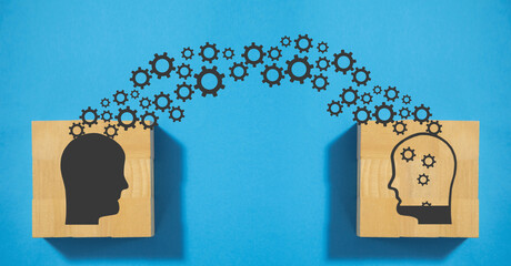 初一下册期中语文知识点总结