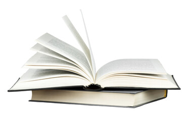 初一下册期中语文知识点总结