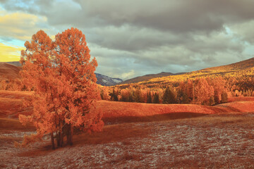 国外文学常识考点