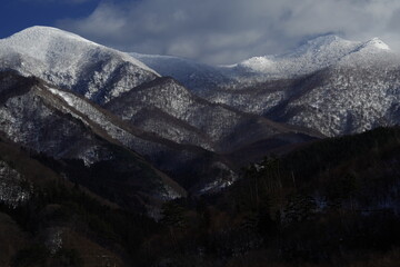 三年级上册英语第五单元怎么读