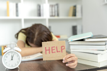 小学生生活中的法律常识知识点