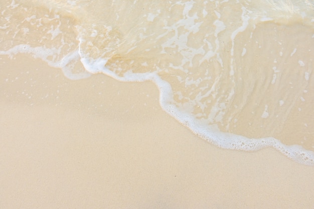 三年级上册英语第五单元怎么读