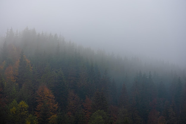 做梦梦到自己大姨妈来了