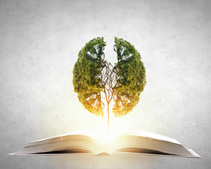 什么是“三从四德”？