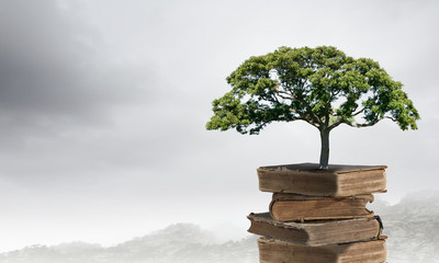 小学生生活中的法律常识知识点