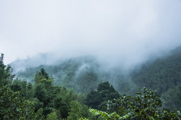 什么是“三从四德”？